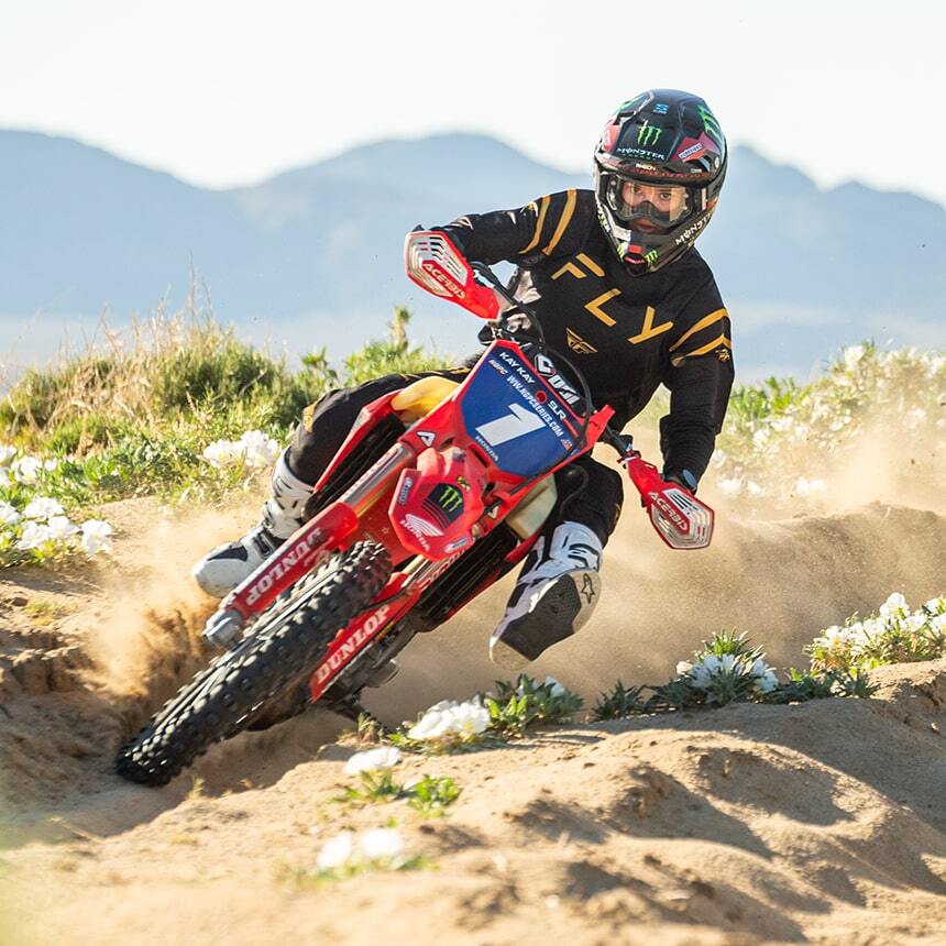 MX